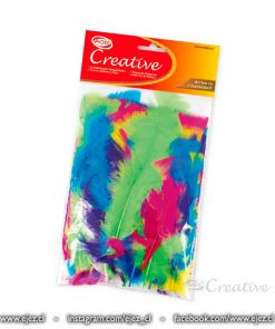 Pluma Color Surtido 14g CREATIVE