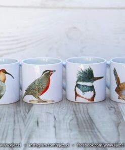 Colección Aves Nativas de Chile - Pack 4 Tazas 6 oz