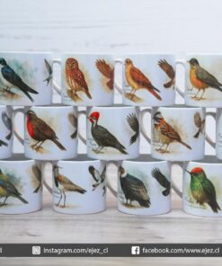 Aves Nativas de Chile - Tazas 6 oz