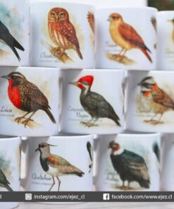 Alternative view of Aves Nativas de Chile - Tazas 6 oz