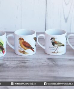 Colección Aves de Chile - Pack C - Picaflor Chico - Tiuque - Queltehue - Cernícalo - Pack 4 Tazas para Café 6 oz